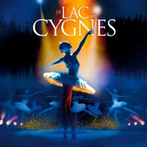 Illustration Le Lac des Cygnes