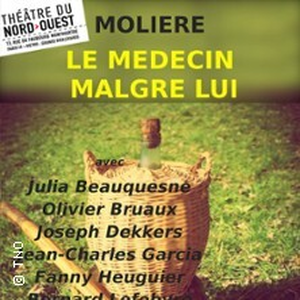 Illustration Le Médecin Malgré lui - Théâtre du Nord-Ouest, Paris