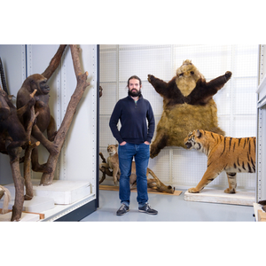 Illustration Le métier de conservateur