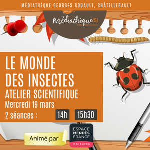 Illustration Le monde des insectes : atelier scientifique