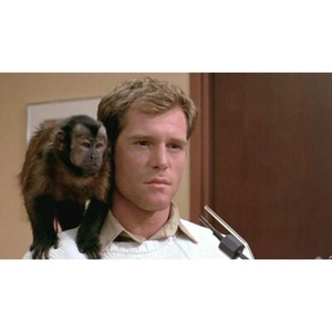 Illustration Le Muséum fait son cinéma en soirée : Incidents de parcours