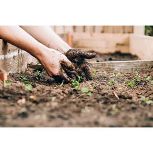Illustration Le pouvoir du sol : un trésor à préserver