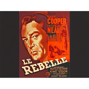 Illustration Le Rebelle