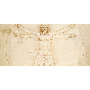 Illustration Léonard de Vinci, à la croisée des arts et des sciences