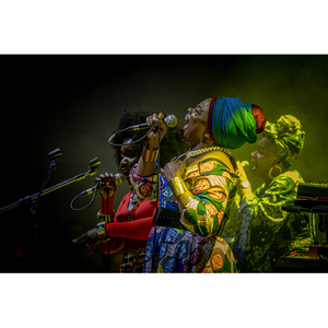 Illustration Les Amazones d'Afrique