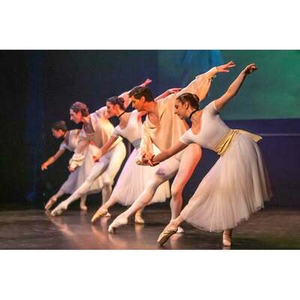 Illustration LES CODES SECRETS DU BALLET ROMANTIQUE