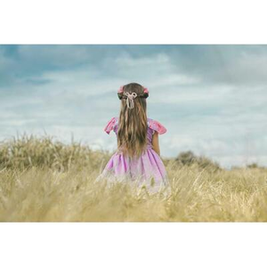 Illustration Les contes du Blaireau : Raiponce