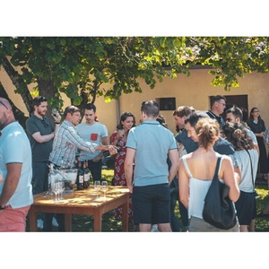 Illustration Les Estivales de Pessac-Léognan