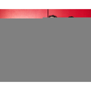 Illustration Les Fils du facteur