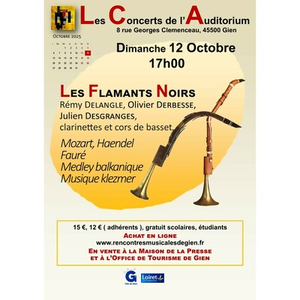 Illustration Les Flamants Noirs