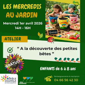 Illustration Les Mercredis du Pôle " A la découverte des petites bêtes "