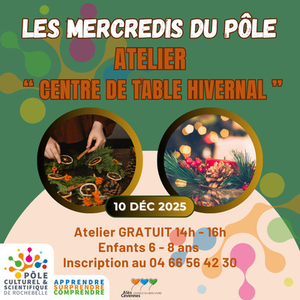 Illustration Les Mercredis du Pôle - Atelier " Centre de table hivernal "