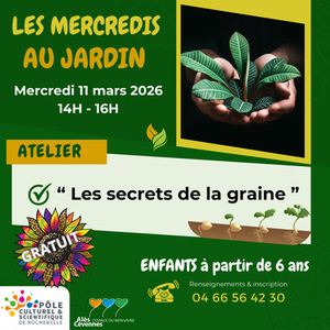 Illustration Les Mercredis du Pôle " Les secrets de la graine "