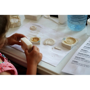 Illustration Les petits labos du Musée d'histoire naturelle - Les fossiles