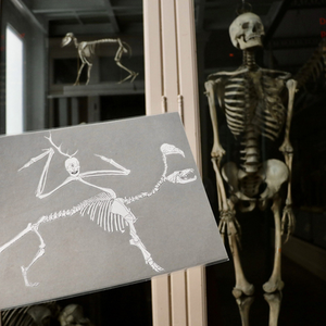 Illustration Les petits labos du musée - Invente un monstre