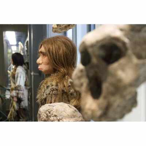 Illustration Les petits labos - Enquête Néandertal / La Fabrique du sud