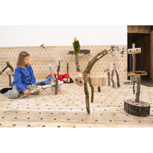 Illustration Les pièces de la forêt