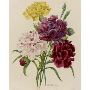 Illustration Les plus belles fleurs de l'été sont à la bibliothèque !