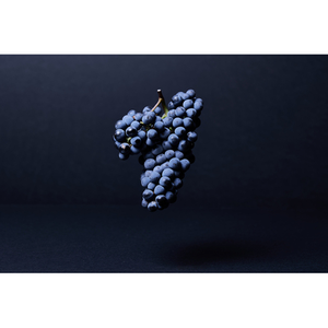 Illustration Les Rendez-vous du Château Haut-Bailly