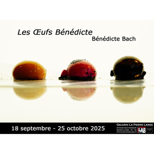 Illustration Les Œufs Bénédicte de Bénédicte Bach