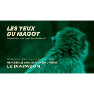 Illustration Les Yeux du Magot