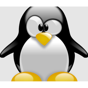 Illustration Linux Install Party