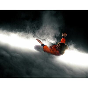 Illustration Lisbeth Gruwez & Maarten Van Cauwenberghe - Tempest