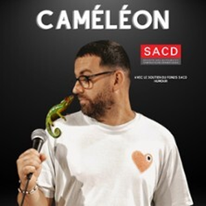 Illustration Louis Bonhoure - Caméléon