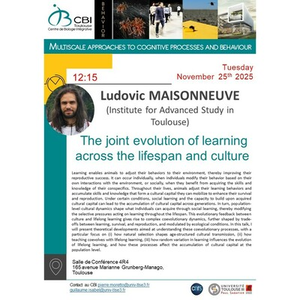 Illustration Ludovic MAISONNEUVE "The joint evolution of learning across the lifespan and culture"