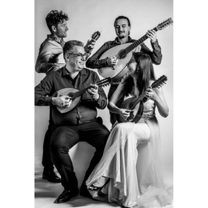 Illustration Mandolines et Guitares