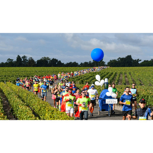 Illustration Marathon des Châteaux du Médoc