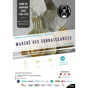 Illustration MARCHÉ DES CONNAISSANCES