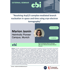 Illustration Marion Jasnin - Resolving Arp2/3 complex-mediated branch nucleation in space and time using cryo-electron tomography