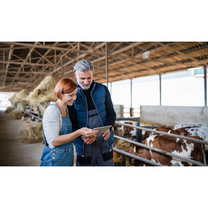 Illustration Matinée d’information "Premiers pas vers une transmission réussie"