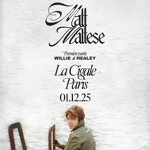 Illustration Matt Maltese