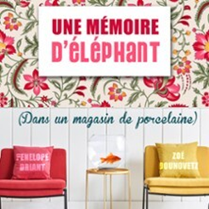 Illustration Mémoire d'Eléphant dans un Magasin de Porcelaine