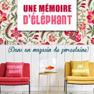 Illustration Mémoire D'éléphant dans un Magasin