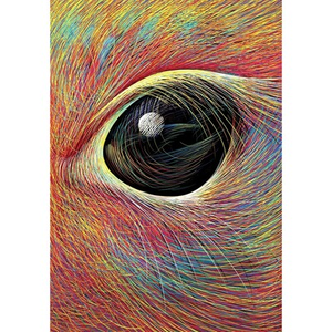 Illustration Merveilles au pays du réel