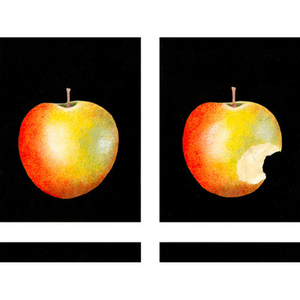 Illustration Métamorphose