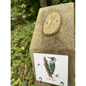 Illustration MEUDON au Hangar Y : "Patatrace"