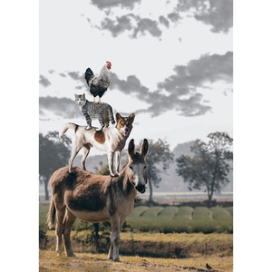 Illustration MEUDON au Hangar Y : "Tous en forme"