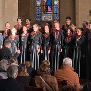 Illustration Mikrokosmos