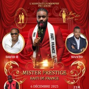 Illustration Mister Prestige Haïti de France 2025