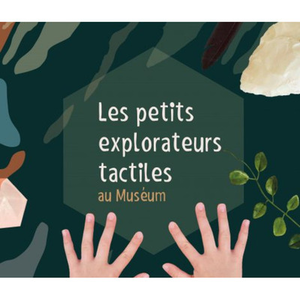 Illustration Mon petit muséum vol 1 "Les petits explorateurs tactiles"