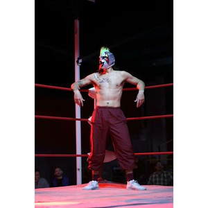 Illustration Motel Cactus I Cie La Meute