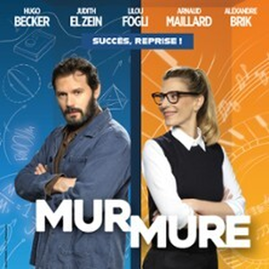 Illustration Mur Mure - Théâtre de la Michodière, Paris