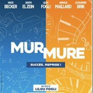 Illustration Mur Mure - Théâtre de la Michodière, Paris