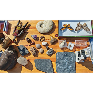 Illustration Musée en travaux, musée en hors-les-murs ! / Journées européennes du Patrimoine