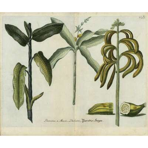 Illustration MUSÉOVACANCES