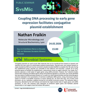 Illustration Nathan FRAIKIN - Coupling DNA processing to early gene expression facilitates conjugative plasmid establishment